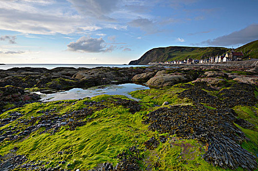 沿岸,风景,大,石头,藻类,海草,捕鱼,乡村,班夫郡,英国,苏格兰,欧洲