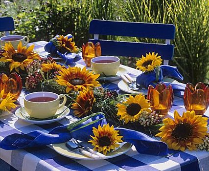 花环,向日葵,茶具,花园桌