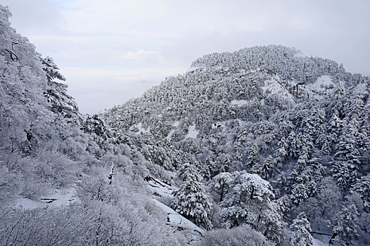 雪后华山宛如画