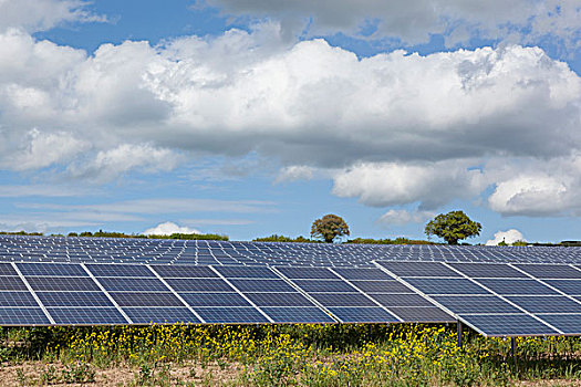 英格兰,汉普郡,太阳能电池板,农场