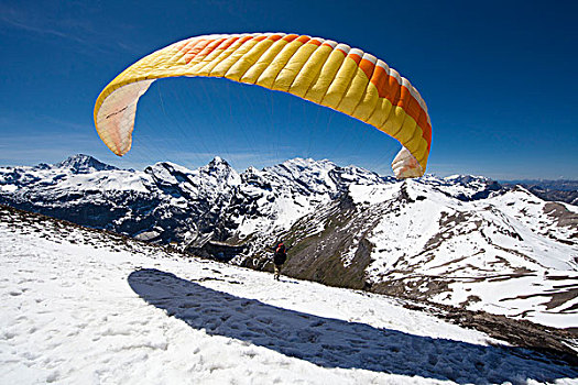 滑翔伞,少女峰,山峦,伯恩高地,瑞士,欧洲
