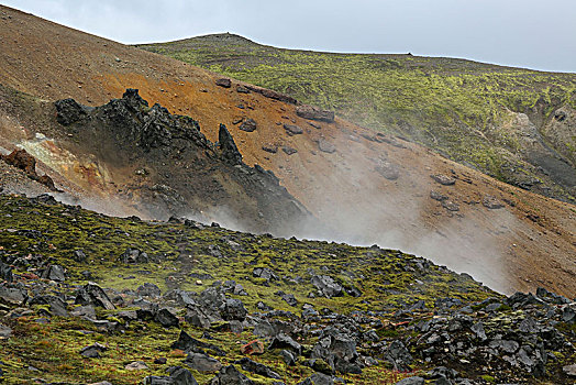冰岛,兰德玛纳,绿色,苔藓,蒸汽,正面,流纹岩,山,彩色