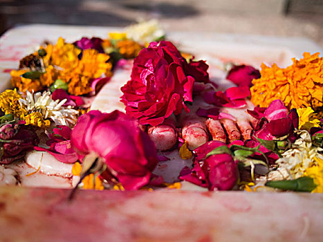 品种,花,宗教祭品,庙宇,乌代浦尔,拉贾斯坦邦,印度