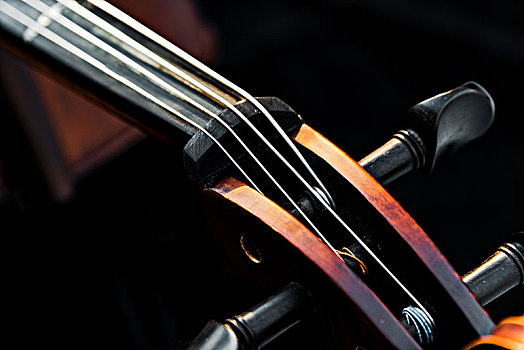 西洋乐器大提琴的琴颈,琴弦