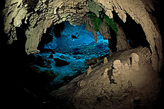 洞穴,沼穴,洞状陷穴,自然,尤卡坦半岛,墨西哥,加勒比