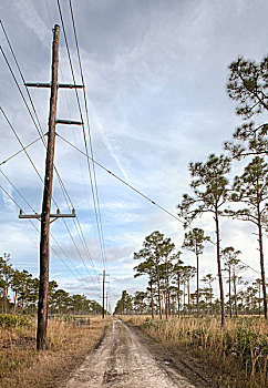 土路,排列,电线杆,佛罗里达,美国