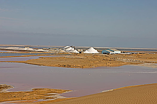 盐,制作,盐厂,靠近,湾,纳米比亚