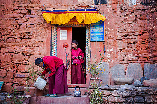 僧侣,浇水,花,户外,寺院,尼泊尔