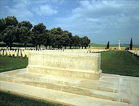 墓碑,二战,墓地,突尼斯,北非,艺术家