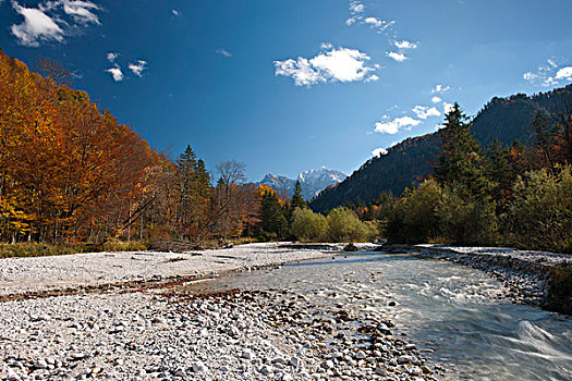河,风景,秋天,上奥地利州,奥地利,欧洲