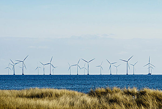 风电场,海上,丹麦