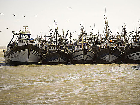 渔船,港口,苏维拉,世界遗产,摩洛哥,非洲
