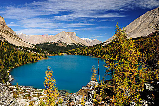 落基山脉,青绿色,湖,秋天,班芙国家公园,艾伯塔省,加拿大,北美