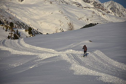 冬季运动,越野滑雪,滑雪,斜坡,小路,落日