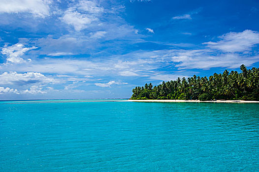 小,小岛,蚂蚁,环礁,密克罗尼西亚