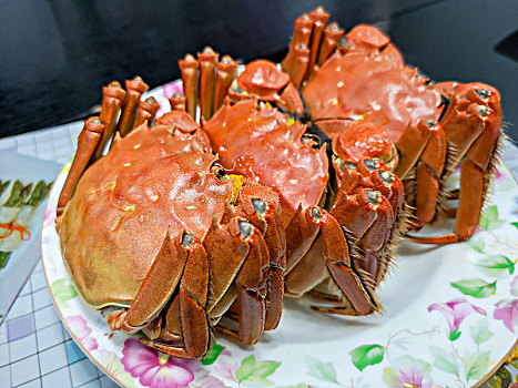 煮熟的大闸蟹