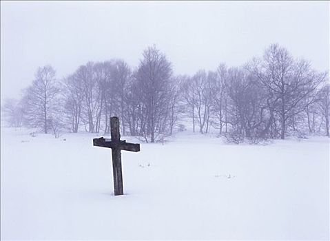 十字架,冬天,风景,比利时,欧洲
