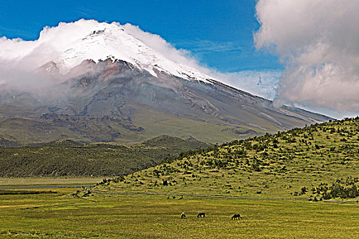 积雪,顶峰,火山,云量,国家公园,省,厄瓜多尔,南美