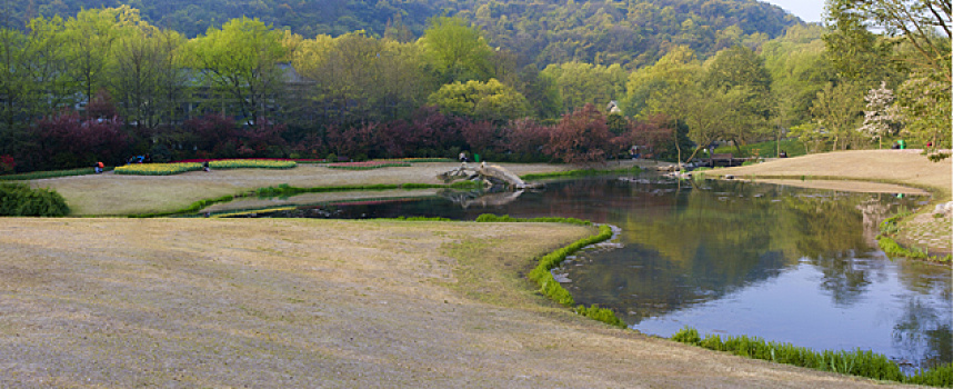 西湖风光,太子湾