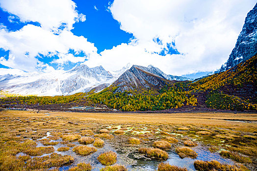 稻城亚丁秋色,秋季风光,高原雪山摄影,四川,甘孜州,秋天风景,自然风光摄影,仙乃日,央迈勇,夏诺多吉,三大神山,2020年