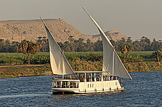 埃及,金色,船,皇家,高兴,旅游,尼罗河,河,阿斯旺,路克索神庙
