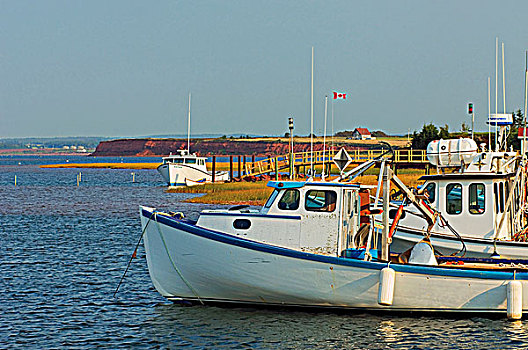 渔船,停靠,港口,爱德华王子岛,加拿大