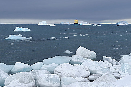 冰山,浮冰,破冰船,游船,黄道十二宫,旅游,船,远景,布朗布拉夫,南极半岛,南极