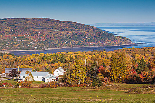 加拿大,魁北克,区域,夏洛瓦,农场,风景,秋天