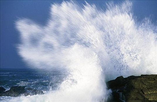 海水,海浪,石头,海岸,风暴,飞溅,自然力