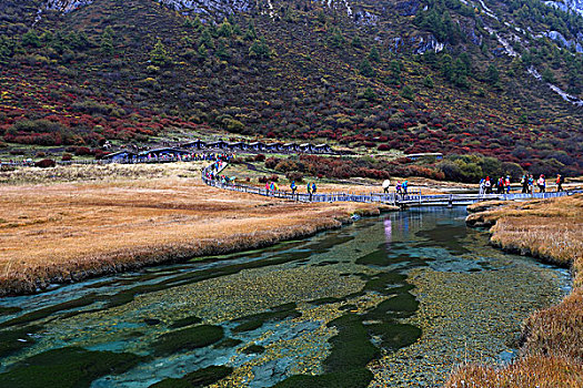 四川亚丁风景区珍珠海