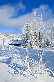林海雪原中的小木屋
