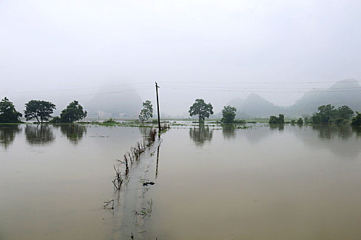 中国南方被洪水淹没的稻田
