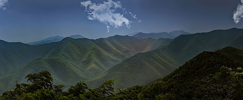 横看成岭