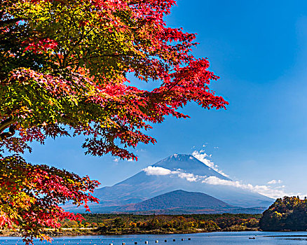 山,富士山,湖,秋叶