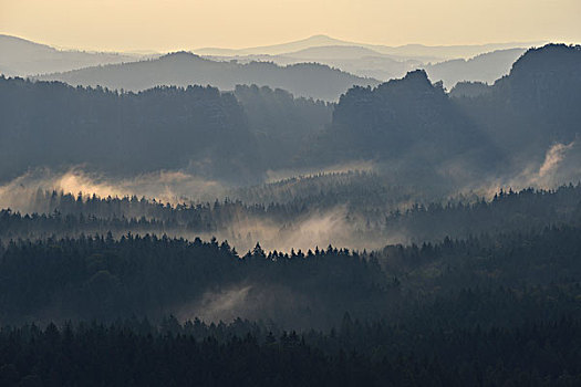 雾,雾气,早晨,砂岩,山,撒克逊瑞士,萨克森,德国,欧洲