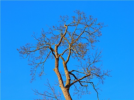 天空