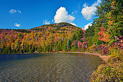 秋天,心形,湖,阿迪朗达克州立公园,纽约,美国