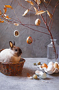 生活方式,兔子,篮子,围绕,复活节,装饰