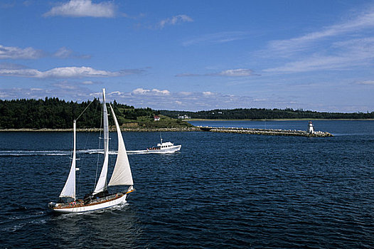 加拿大,新斯科舍省,靠近,卢嫩堡,帆船