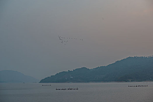 鸟群,天空,飞翔,满天,山,岛,船