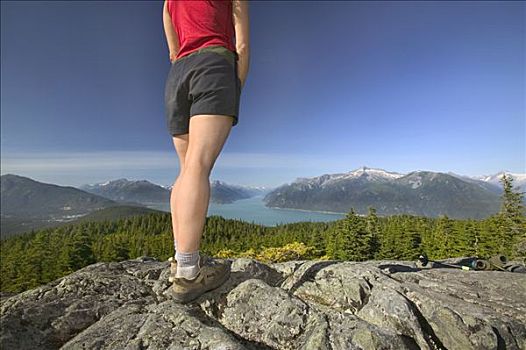 远足者,山,俯瞰,小湾,夏天,海岸山脉