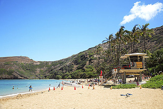 夏威夷,瓦胡岛,漂亮,海滩,白天,恐龙湾