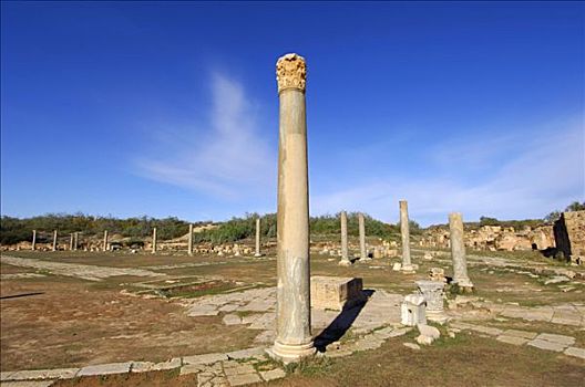 柱子,科林斯式,首府,遗址,罗马,城市,莱普蒂斯马格纳,利比亚