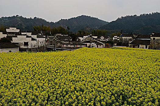 花海溢古村