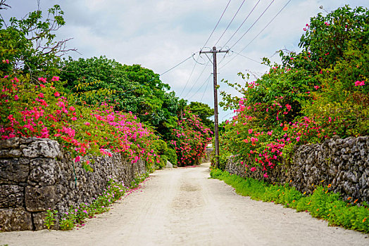 岛屿,冲绳,日本