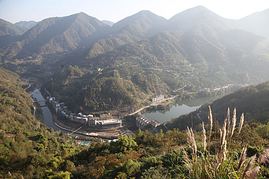 重庆市云阳县城,长江,野花,长江生态屏障