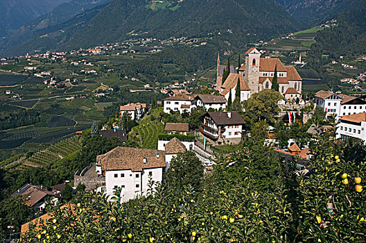 山村,靠近,梅拉诺,特兰迪诺,意大利,欧洲