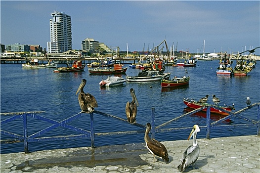 港口,安托法加斯塔,智利