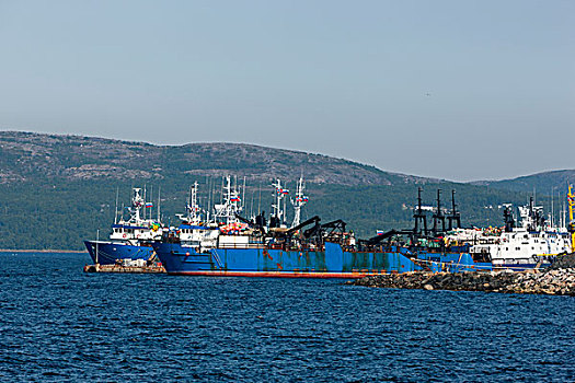 虾,渔民,港口