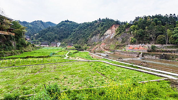 风景,花园,河边